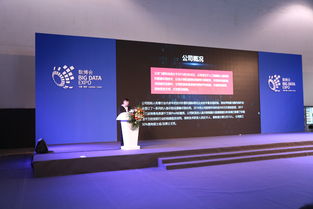 北京飛搜科技閃耀亮相2018年貴州數博會，引領信息技術咨詢服務新浪潮